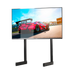 NEXT LEVEL RACING ELITE FREESTANDING SINGLE MONITOR STAND - BLACK + Television