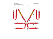 Sabelt Silver Rally 2x2 6-Point Racing Harness – product detail – photo 2