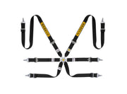 Sabelt Silver Rally 2x2 6-Point Racing Harness – product detail – photo 3