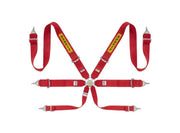 Sabelt Steel Rally 3x3 6-Point Racing Harness – product detail – photo 1