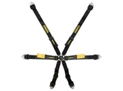 Schroth Enduro 2x2 6-Point Racing Harness – Black – photo 3