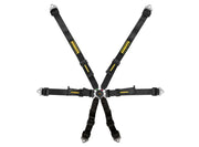Schroth Flexi 2x2 6-Point Racing Harness – product detail – photo 3
