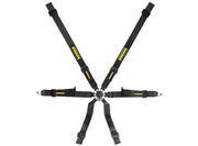 Schroth Profi XLT 2x2 6-Point Racing Harness – Pull-up